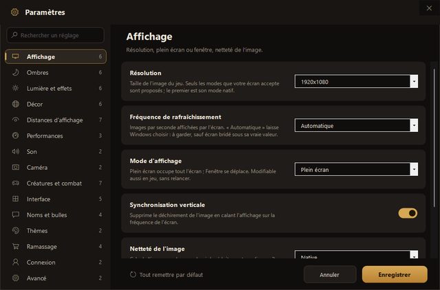 La catégorie Affichage du lanceur : résolution, fréquence, mode d'affichage, synchronisation verticale, netteté de l'image
